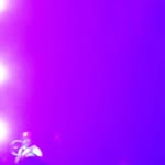Robin Royer - @himntnc - Instagram