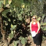 Robin Rutter - @robinrutter - Instagram