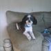 Robin Rutter - Facebook