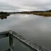 robinbryant875 - @robinbryant875 - TikTok