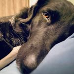 Robin Raulf-Sager - @robin_sager - Instagram