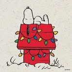 Robin Sample - Facebook