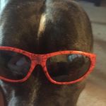 Robin Sams - @robinsams222 - Instagram