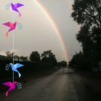 Robin Sanderson - Facebook