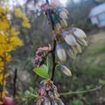 Robin Satterlee - @robinrenee1961 - Instagram