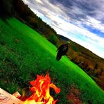 Robin Lee Schaffer - @foto_robin - Instagram
