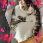 Robin Schenk - @lssm2105 - Instagram