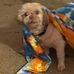 Robin Schenk - Facebook