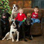 Robin Scherer - @furryfriendsnet - Instagram