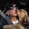 Robin Scherer - @robinscherer - TikTok