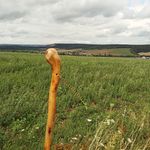 Robin Schreiber - @schreiber_koog - Instagram