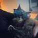 Robin Schreiber - Facebook