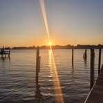 Robin Seals - @seals4576 - Instagram
