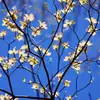Robin Searles - @robin.searles3 - TikTok
