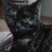 Robyn Searles - Facebook