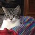 Robina Semple - Facebook