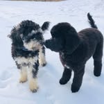 Robin Senn Urbanski - @rurbanski - Instagram