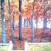Robin Setzer - Facebook