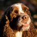 Robin Setzer - Facebook