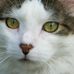 Robin Seyler - Facebook