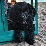Robin Shelton Johnson - @robinaj69 - Instagram