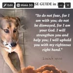 Robin Sherrill - @robin.sherrill1 - Instagram