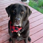 Robin Shilling - @life_according_to_kosmo - Instagram