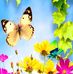 Robin Shilling - Facebook