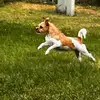 Nanaof5 - @robin.shipley29 - TikTok