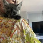 Robin Shook - @rshook50 - Instagram