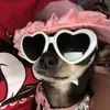Cupcake Shores - @robin.shores - TikTok