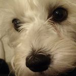 Robin Shultz - @rlshultz1957 - Instagram