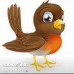 Robin Shultz - @robinssite - Instagram