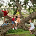 robin shute - @shutekids - Instagram