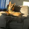 Robin Shute - @robin.shute7 - TikTok