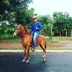 robin silva - @robinsilva82 - Instagram