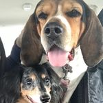 Robin Silver - @robin.silver.31 - Instagram