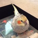 Robin Silverman - @rsilver900 - Instagram