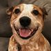 Robin Silverman - Facebook