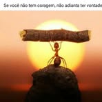 Robinson Silvisa - Facebook