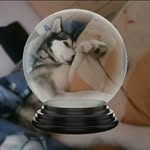 Robin Simon - @robin.simon.3388 - Instagram