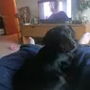 Robin - @robinsimpson - TikTok