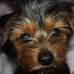 Robin Simpson - Facebook