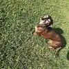 Robin Simpson Plank - @robin.simpson.pla - TikTok
