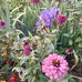 Robin Skelton - Facebook