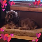 Robin Skelton Nelson - @robinnelson8809 - Instagram