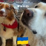 Robin Skipper - @robin.skipper.90 - Instagram