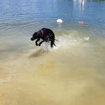 Robin Cotter Skoog - Facebook