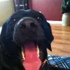 Robin Ferguson - @robinsmalls00 - TikTok