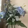 Robin Sobotka - @user3817169350997 - TikTok